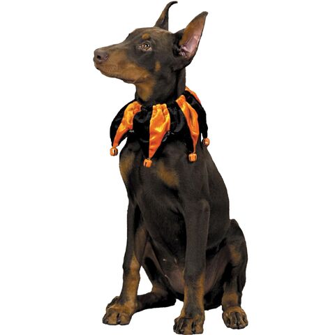 File:Jester Dog 2.jpg