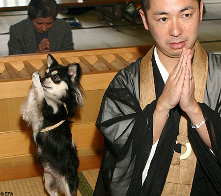 File:DogprayEPA 450x400.jpg