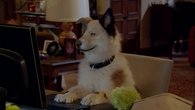 File:Stan of the House.png