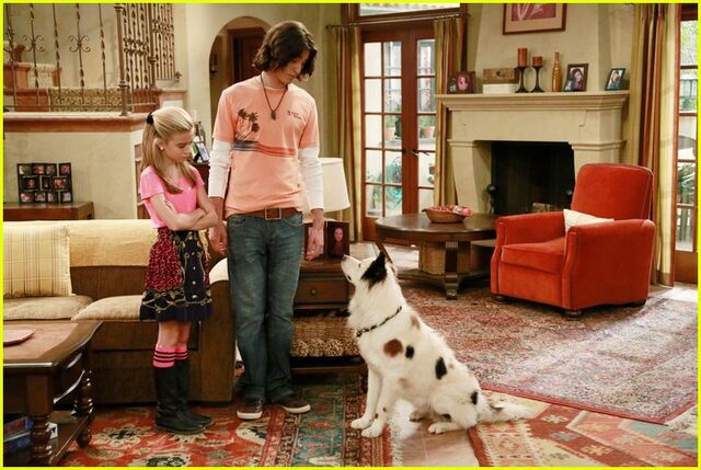 File:Dog-blog-avery-first-crush-01.jpg