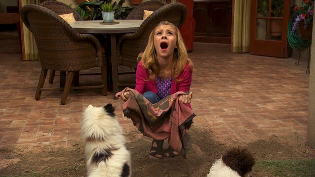 File:Avery sez NOOOOOOOOOOOOOOOOOOOOOOOOOOOOOOOOOOOOOOOOOOOOOOOO.jpg
