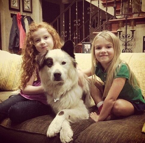 File:Francesca & Mia with Mick.jpg