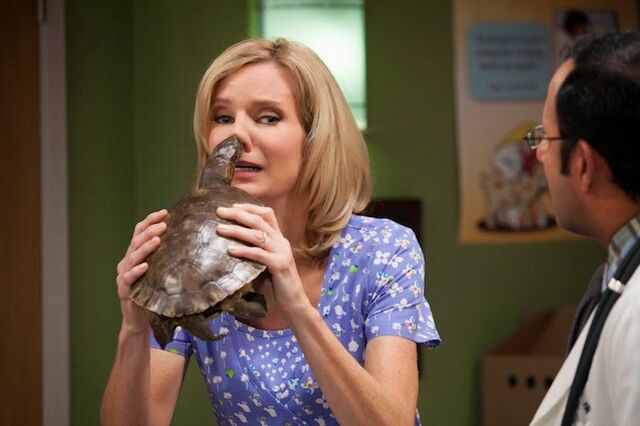 File:Ellen-turtle-dog-with-a-blog.jpg