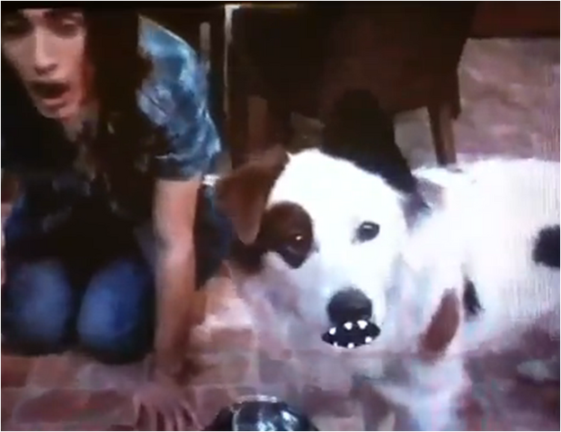 File:FreakyFido.png