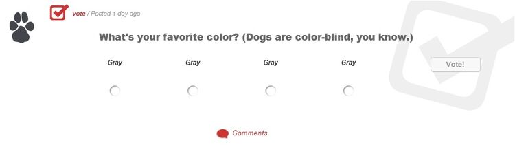 What's your favorite color (Dogs are color-blind, you know)