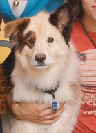 File:St1.PNG