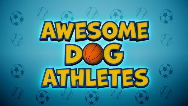 File:Awesome Dog Athletes.jpg