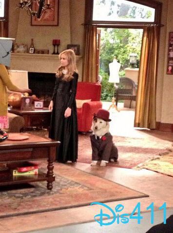 File:G-hannelius-jan-24-2014-3.jpg