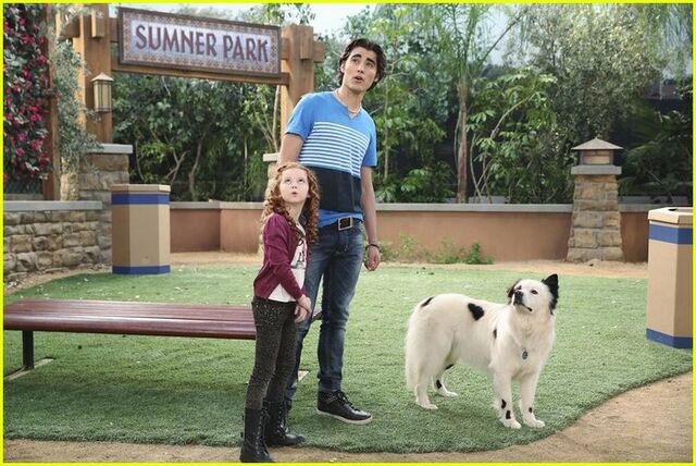 File:Dog-blog-makeovers-max-stan-stills-08.jpg