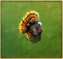 Turkey