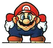 Mario viejo.jpg
