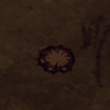 Shown track.png