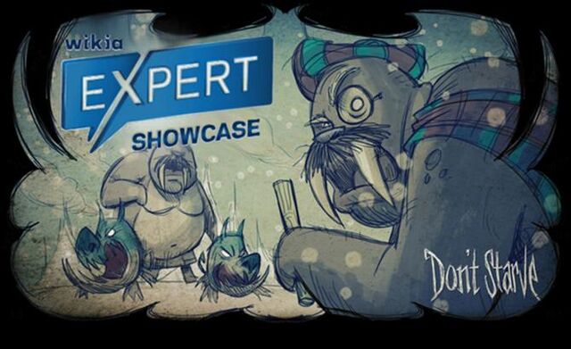 Ficheiro:ExpertShowcaseBigger.jpg