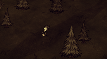 Day in DS