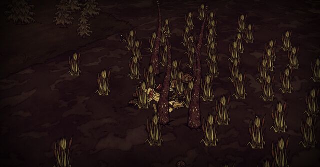File:Reed Tentacle trap.jpg