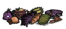 Comida Monstruosa