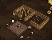 Spider trap.png