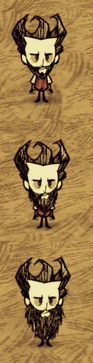 Beard