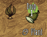 Monthly 05 2014-cced44beaec99f25250fa5c638eec9e3-925-mandrakes.png