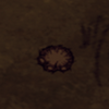 Shown track.png