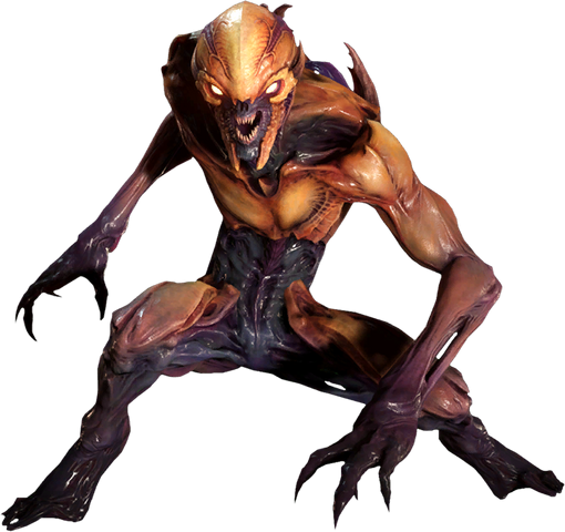 Файл:Codex imp.bimage.png
