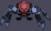 Arachnotron64