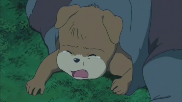 Tập tin:Babyhachi.png