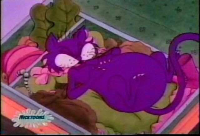 File:Doug's Fat Cat 42.jpg