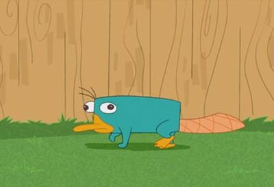 Perry