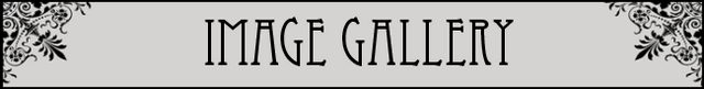File:ImageGallery title.png