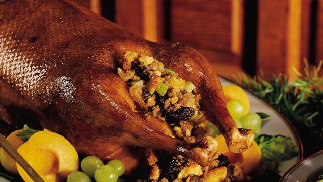 File:Stuffedgoose.jpg