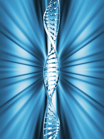 Archivo:Genes.jpg