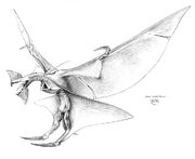 Leonopteryx Konzept.jpg