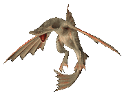 Cephalos.gif