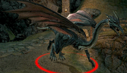 Mature Dragon.png