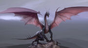 HighDragonDA.jpg