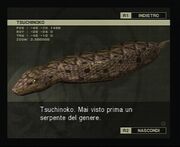 Tsuchinoko.jpg