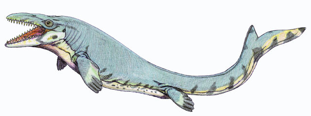 Datei:Mosasaurus.jpg