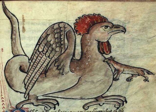 Datei:CockatryxBestiarium.jpg
