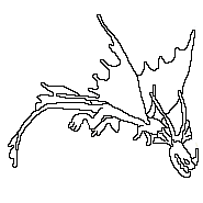 10 Beautiful Ausmalbilder Dragons Leuchtender Fluch