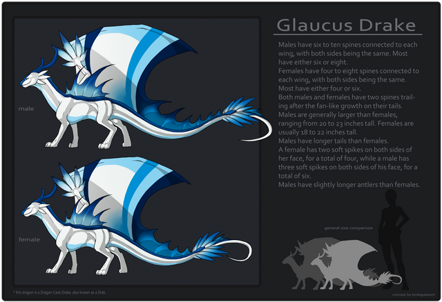 File:Glaucus Drake Ref-sheet.png