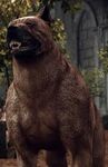 Mabari