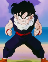 GohanVsSpiceBoysNV.png