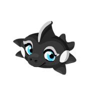 Orca 1