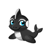 Orca 2