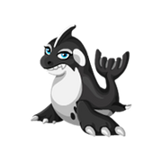 Orca 3