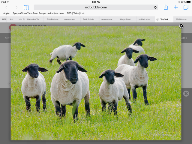 File:Imagefuzzdfghhhj.png