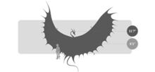 Image-1423054665