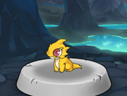 Hatch Kurupa