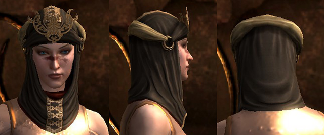 File:Coterie mage hood da2.png